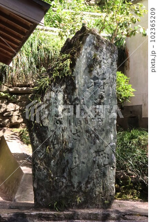 紀三井寺 紀三井寺 102365209
