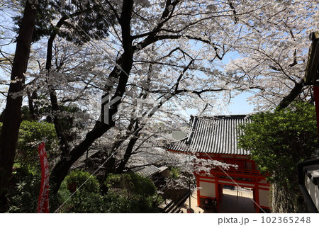 紀三井寺 紀三井寺 102365248