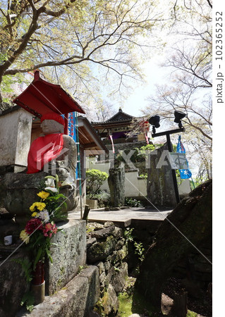 紀三井寺 紀三井寺 102365252