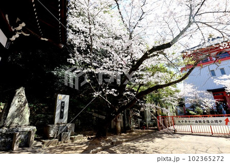 紀三井寺 102365272