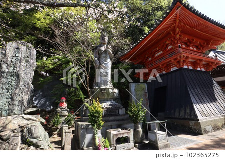 紀三井寺 102365275