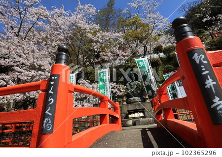 紀三井寺 紀三井寺 102365296