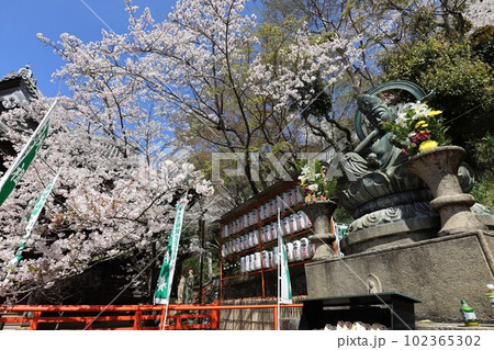 紀三井寺 紀三井寺 102365302