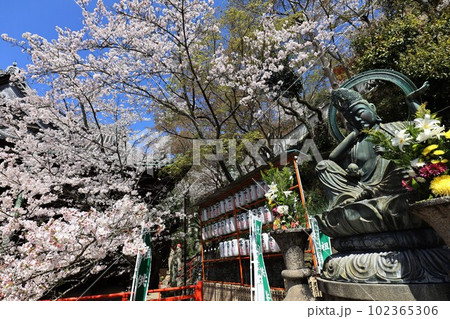 紀三井寺 紀三井寺 102365306