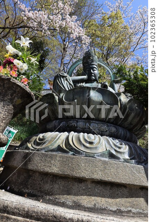 紀三井寺 紀三井寺 102365308