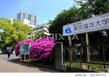 東京海洋大学・品川キャンパス 102365371