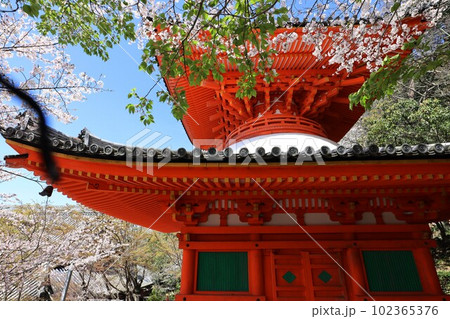 紀三井寺 102365376
