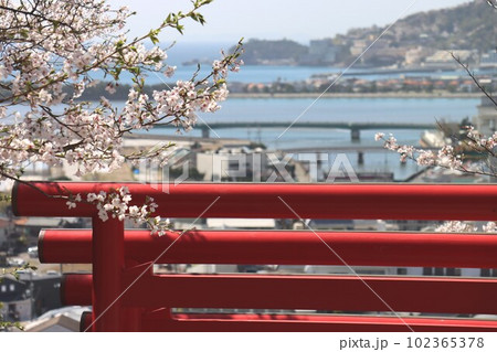 紀三井寺 紀三井寺 102365378