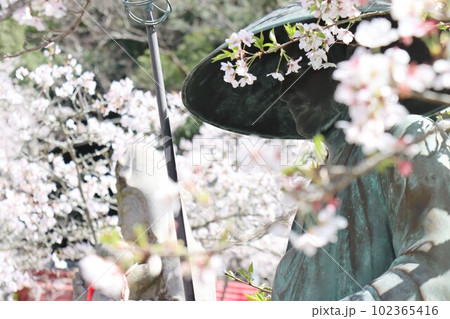 紀三井寺 紀三井寺 102365416