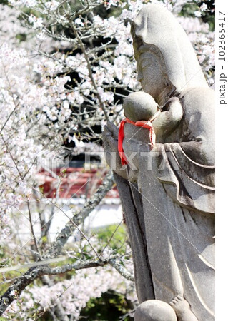 紀三井寺 紀三井寺 102365417