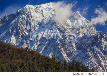 大迫力のニルギリの山容 102365654