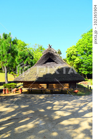 【国指定特別史跡】岩橋千塚古墳群 【国指定特別史跡】岩橋千塚古墳群 102365904