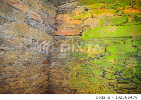 【国指定特別史跡】岩橋千塚古墳群 102366478