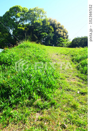 【国指定特別史跡】岩橋千塚古墳群 102366582