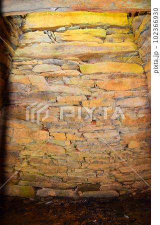 【国指定特別史跡】岩橋千塚古墳群 102366930