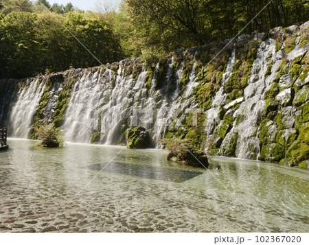 明神の滝（山中湖花の都公園　清流の里） 102367020