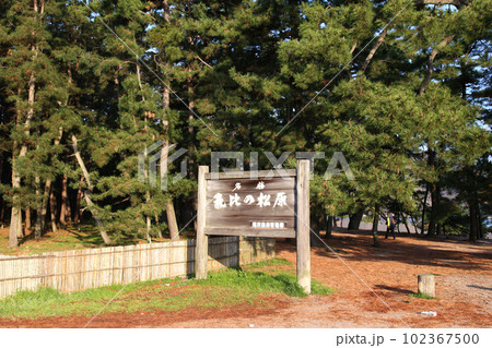 気比の松原 敦賀湾 松林 松原海水浴場 福井県 敦賀市 敦賀湾 気比の松原海水浴場 海水浴場 釣場 気比の松原 敦賀湾 松林 松原海水浴場 福井県 敦賀市 敦賀湾 気比の松原海水浴場 海水浴場 釣場 102367500