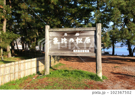 気比の松原 敦賀湾 松林 松原海水浴場 福井県 敦賀市 敦賀湾 気比の松原海水浴場 海水浴場 釣場 気比の松原 敦賀湾 松林 松原海水浴場 福井県 敦賀市 敦賀湾 気比の松原海水浴場 海水浴場 釣場 102367502