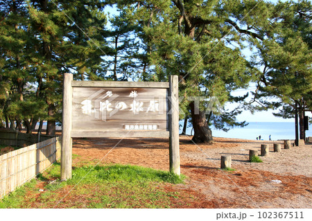 気比の松原 敦賀湾 松林 松原海水浴場 福井県 敦賀市 敦賀湾 気比の松原海水浴場 海水浴場 釣場 気比の松原 敦賀湾 松林 松原海水浴場 福井県 敦賀市 敦賀湾 気比の松原海水浴場 海水浴場 釣場 102367511
