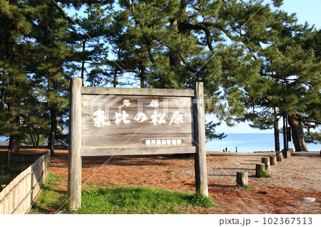気比の松原　敦賀湾　松林　松原海水浴場　福井県　敦賀市　敦賀湾　気比の松原海水浴場　海水浴場　釣場 102367513