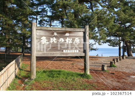 気比の松原 敦賀湾 松林 松原海水浴場 福井県 敦賀市 敦賀湾 気比の松原海水浴場 海水浴場 釣場 気比の松原 敦賀湾 松林 松原海水浴場 福井県 敦賀市 敦賀湾 気比の松原海水浴場 海水浴場 釣場 102367514