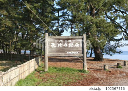 気比の松原 敦賀湾 松林 松原海水浴場 福井県 敦賀市 敦賀湾 気比の松原海水浴場 海水浴場 釣場 気比の松原 敦賀湾 松林 松原海水浴場 福井県 敦賀市 敦賀湾 気比の松原海水浴場 海水浴場 釣場 102367516