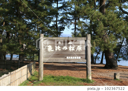 気比の松原 敦賀湾 松林 松原海水浴場 福井県 敦賀市 敦賀湾 気比の松原海水浴場 海水浴場 釣場 気比の松原 敦賀湾 松林 松原海水浴場 福井県 敦賀市 敦賀湾 気比の松原海水浴場 海水浴場 釣場 102367522