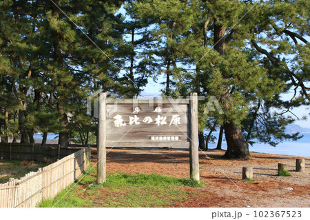 気比の松原 敦賀湾 松林 松原海水浴場 福井県 敦賀市 敦賀湾 気比の松原海水浴場 海水浴場 釣場 気比の松原 敦賀湾 松林 松原海水浴場 福井県 敦賀市 敦賀湾 気比の松原海水浴場 海水浴場 釣場 102367523