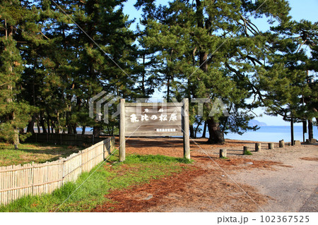 気比の松原　敦賀湾　松林　松原海水浴場　福井県　敦賀市　敦賀湾　気比の松原海水浴場　海水浴場　釣場 102367525
