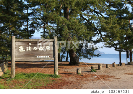 気比の松原 敦賀湾 松林 松原海水浴場 福井県 敦賀市 敦賀湾 気比の松原海水浴場 海水浴場 釣場 気比の松原 敦賀湾 松林 松原海水浴場 福井県 敦賀市 敦賀湾 気比の松原海水浴場 海水浴場 釣場 102367532