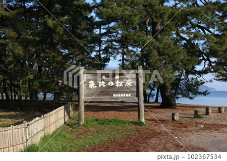 気比の松原 敦賀湾 松林 松原海水浴場 福井県 敦賀市 敦賀湾 気比の松原海水浴場 海水浴場 釣場 気比の松原 敦賀湾 松林 松原海水浴場 福井県 敦賀市 敦賀湾 気比の松原海水浴場 海水浴場 釣場 102367534