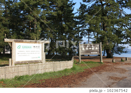 気比の松原 敦賀湾 松林 松原海水浴場 福井県 敦賀市 敦賀湾 気比の松原海水浴場 海水浴場 釣場 気比の松原 敦賀湾 松林 松原海水浴場 福井県 敦賀市 敦賀湾 気比の松原海水浴場 海水浴場 釣場 102367542