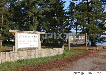 気比の松原 敦賀湾 松林 松原海水浴場 福井県 敦賀市 敦賀湾 気比の松原海水浴場 海水浴場 釣場 気比の松原 敦賀湾 松林 松原海水浴場 福井県 敦賀市 敦賀湾 気比の松原海水浴場 海水浴場 釣場 102367546