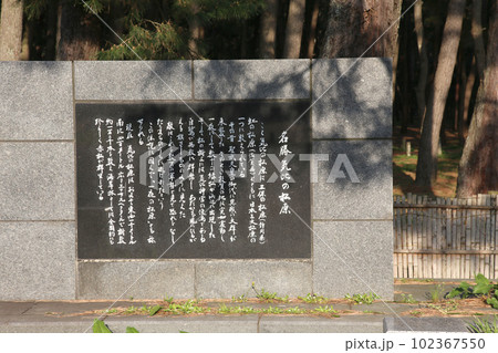 気比の松原 敦賀湾 松林 松原海水浴場 福井県 敦賀市 敦賀湾 気比の松原海水浴場 海水浴場 釣場 気比の松原 敦賀湾 松林 松原海水浴場 福井県 敦賀市 敦賀湾 気比の松原海水浴場 海水浴場 釣場 102367550