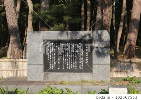 気比の松原　敦賀湾　松林　松原海水浴場　福井県　敦賀市　敦賀湾　気比の松原海水浴場　海水浴場　釣場 102367553