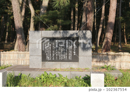 気比の松原 敦賀湾 松林 松原海水浴場 福井県 敦賀市 敦賀湾 気比の松原海水浴場 海水浴場 釣場 気比の松原 敦賀湾 松林 松原海水浴場 福井県 敦賀市 敦賀湾 気比の松原海水浴場 海水浴場 釣場 102367554