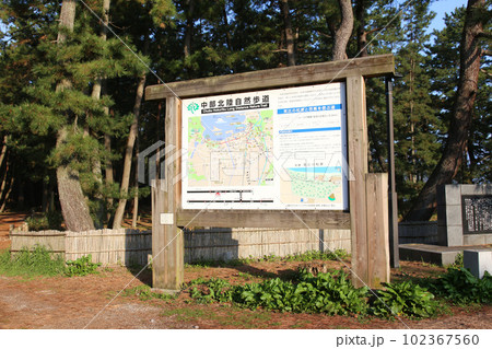 気比の松原 敦賀湾 松林 松原海水浴場 福井県 敦賀市 敦賀湾 気比の松原海水浴場 海水浴場 釣場 気比の松原 敦賀湾 松林 松原海水浴場 福井県 敦賀市 敦賀湾 気比の松原海水浴場 海水浴場 釣場 102367560