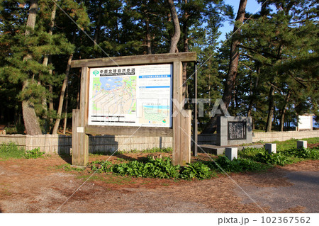 気比の松原 敦賀湾 松林 松原海水浴場 福井県 敦賀市 敦賀湾 気比の松原海水浴場 海水浴場 釣場 気比の松原 敦賀湾 松林 松原海水浴場 福井県 敦賀市 敦賀湾 気比の松原海水浴場 海水浴場 釣場 102367562
