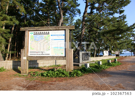 気比の松原　敦賀湾　松林　松原海水浴場　福井県　敦賀市　敦賀湾　気比の松原海水浴場　海水浴場　釣場 102367563