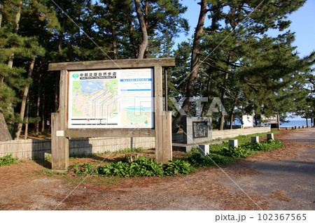 気比の松原 敦賀湾 松林 松原海水浴場 福井県 敦賀市 敦賀湾 気比の松原海水浴場 海水浴場 釣場 気比の松原 敦賀湾 松林 松原海水浴場 福井県 敦賀市 敦賀湾 気比の松原海水浴場 海水浴場 釣場 102367565
