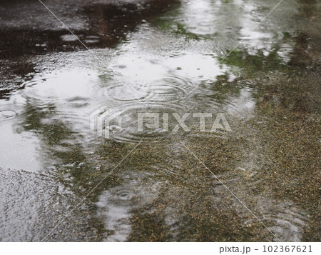 雨の日の水たまり　雨の波紋　雨降りのイメージ 102367621