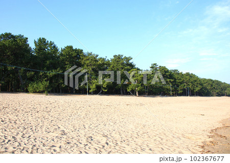 気比の松原 敦賀湾 松林 松原海水浴場 福井県 敦賀市 敦賀湾 気比の松原海水浴場 海水浴場 釣場 気比の松原 敦賀湾 松林 松原海水浴場 福井県 敦賀市 敦賀湾 気比の松原海水浴場 海水浴場 釣場 102367677