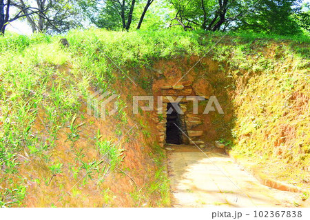 【国指定特別史跡】岩橋千塚古墳群 102367838