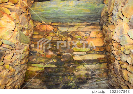 【国指定特別史跡】岩橋千塚古墳群 102367848