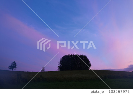 夕日に染まるマイルドセブンの丘 夕日に染まるマイルドセブンの丘 102367972