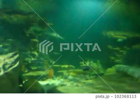 Underwater ocean abstract blur for background Underwater ocean abstract blur for background 102368113