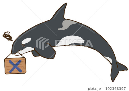 バツマークを持つシャチ バツマークを持つシャチ 102368397