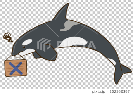 バツマークを持つシャチ バツマークを持つシャチ 102368397