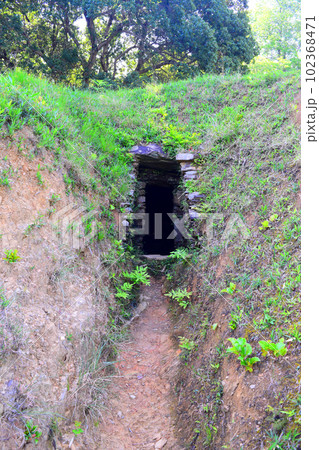 【国指定特別史跡】岩橋千塚古墳群 102368471