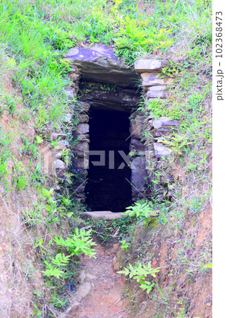 【国指定特別史跡】岩橋千塚古墳群 102368473